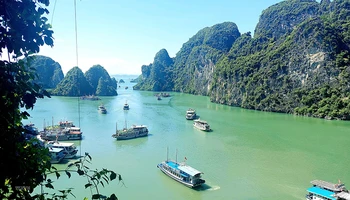 Hành trình đưa “vàng ròng” sá sùng vào nước mắm Vân Đồn 