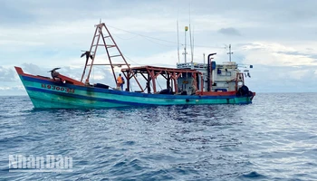 Tàu KG 93003 TS đang bị dẫn giải về cảng thuộc Bộ Tư lệnh Vùng Cảnh sát biển 4 ở thành phố Phú Quốc.