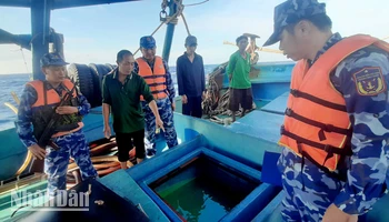 Bộ Tư lệnh Cảnh sát biển bắt giữ tàu cá vận chuyển dầu nhưng không có giấy tờ chứng minh nguồn gốc hợp pháp của hàng hóa. (Ảnh: BỘ TƯ LỆNH VÙNG CẢNH SÁT BIỂN 4)
