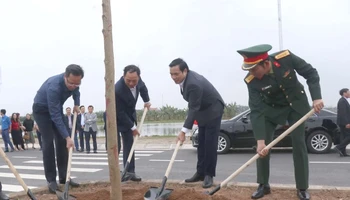 Lãnh đạo tỉnh Hưng Yên cùng nhân dân thành phố Hưng Yên đã trồng hơn 200 cây hoa ban tại dải phân cách tuyến đường trục Bắc Nam, khu Đại học Phố Hiến, thành phố Hưng Yên, tỉnh Hưng Yên.