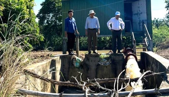Công ty trách nhiệm hữu hạn một thành viên quản lý công trình thủy lợi Đắk Lắk sử dụng bơm nước chống hạn ở huyện Lắk.