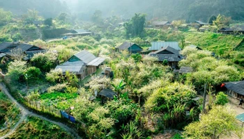 Ở độ cao hơn 1.500m, Mường Lống quanh năm mát mẻ, đẹp như một bức tranh thủy mặc giữa đại ngàn Trường Sơn. (Ảnh: NHẬT THANH)