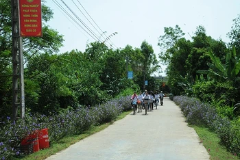 Đường hoa xã Nghĩa Hưng, huyện Lạng Giang (Bắc Giang), một trong những điển hình tiêu biểu của phong trào xây dựng nông thôn mới.