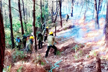 Lực lượng chức năng dập lửa chữa cháy rừng tại xã Diễn Lợi, huyện Diễn Châu (Nghệ An). Ảnh: VĂN TRƯỜNG