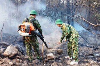Bộ đội biên phòng tham gia chữa cháy rừng ở Nghệ An.