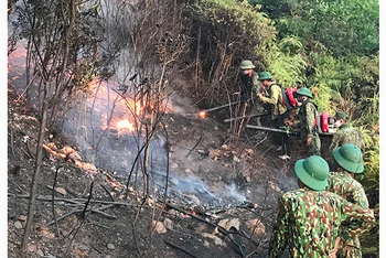 Các lực lượng khống chế ngọn lửa ở khu vực núi Mồng Gà (Hương Sơn, Hà Tĩnh).