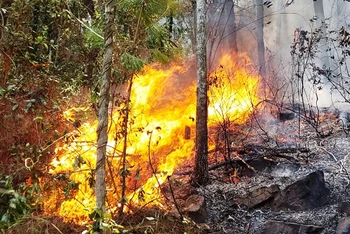 Đám cháy tại khu vực núi Con Voi thuộc  xóm 8, xã Diễn Lộc, huyện Diễn Châu, (Nghệ An).