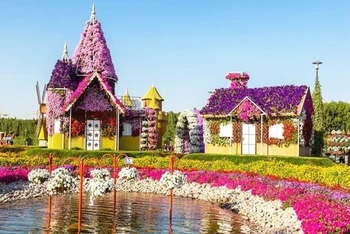 Khu vườn kỳ diệu Dubai là khu vườn hoa tự nhiên lớn nhất thế giới (Ảnh: INSIDER)
