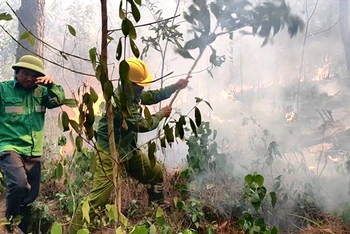Lực lượng chức năng sử dụng cành cây xanh dập lửa.