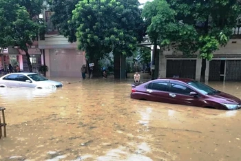 Nhiều ô-tô bị ngập nặng, phải nằm lại trên đường Hoàng Quốc Việt, thành phố Lào Cai.