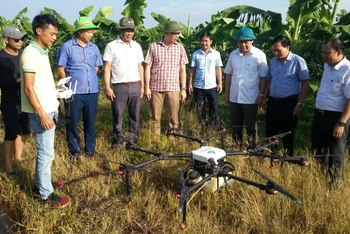 Sử dụng thiết bị bay không người lái phun thuốc bảo vệ thực vật tại xã Bản Nguyên, huyện Lâm Thao.