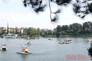 Dịch vụ xe đạp nước trên hồ Xuân Hương - Đà Lạt hấp dẫn du khách.