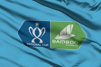 Cúp Quốc gia 2020 chính thức tạm dừng thi đấu từ vòng tứ kết. 