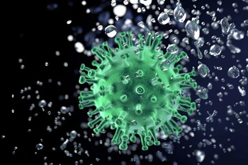 Virus SARS-CoV-2 (Ảnh: PIXABAY)