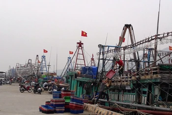 Phương tiện đánh bắt hải sản cập cảng cá ở huyện Hậu Lộc, tỉnh Thanh Hóa.