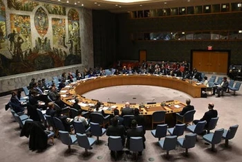 Hội đồng Bảo an Liên hợp quốc. (Ảnh: Reuters)