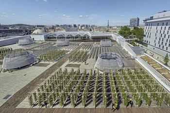 Nông trại Nature Urbaine tọa lạc trên mái nhà của một trung tâm triển lãm, ở Thủ đô Paris của Pháp. (Ảnh: The Sunday Times)
