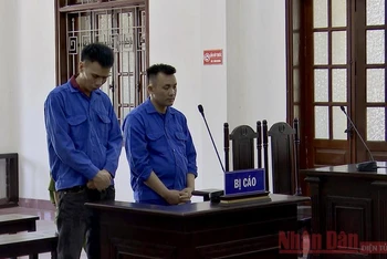 Bị cáo Lường Văn Nghị (phải) và bị cáo Nguyễn Trường Sinh (trái) tại phiên tòa.