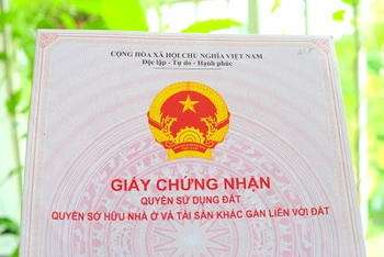 Đà Nẵng lập Đoàn thanh tra việc giải quyết hồ sơ thủ tục hành chính tại Chi nhánh Văn phòng Đăng ký đất đai quận Sơn Trà