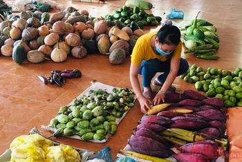 Đồng bào huyện Nam Trà My gom góp thực phẩm tặng người dân vùng dịch.