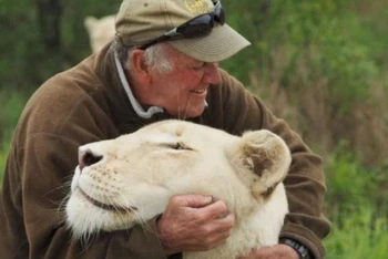 Nhà bảo tồn West Mathewson đang chơi đùa với một trong hai con sư tử trắng.