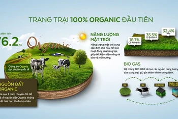 Năng lượng mặt trời, nguồn đất và hệ thống Biogas tại Trang trại Bò sữa Vinamilk Organic Đà Lạt.