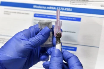 Cuộc nghiên cứu phát triển vaccine ngừa Covid-19 do Viện Y tế quốc gia Mỹ và công ty Moderna thực hiện tại New York. (Ảnh: AP)