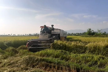 Chuyển đổi, tập trung ruộng đất tạo đà đưa cơ giới hóa vào sản xuất nông nghiệp ở Can Lộc. 
