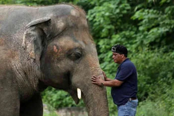 Bác sĩ thú y Amir Khalil dụ dỗ Kaavan tại Vườn thú Islamabad. Ảnh: Reuters.