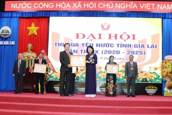 Phó Chủ tịch nước Đặng Thị Ngọc Thịnh, trao bằng khen cho các tập thể, cá nhân đạt thành tích xuất sắc trong phong trào thi đua yêu nước tỉnh Gia Lai.