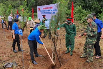 Các đại biểu trồng cây thông ba lá tại khu vực ngã ba thị trấn Măng Đen, huyện Kon Plông, tỉnh Kon Tum. 