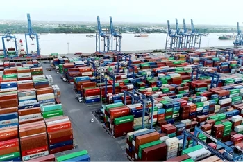 Cảng Cát Lái hiện còn tồn đọng nhiều container phế liệu nhập khẩu không đạt chất lượng.