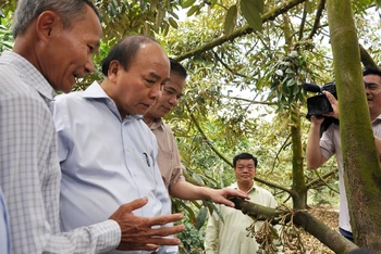Thủ tướng Chính phủ Nguyễn Xuân Phúc đến thăm vườn sầu riêng ở huyện Cai Lậy và trò chuyện với nông dân.