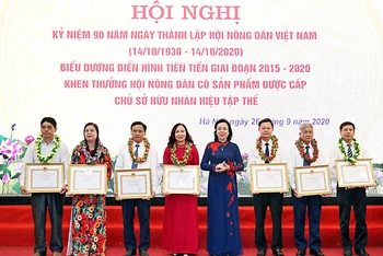 Đồng chí Ngô Thị Thanh Hằng (đứng thứ tư từ phải sang trong ảnh) trao Bằng khen của UBND TP Hà Nội tặng các cá nhân và tập thể xuất sắc.