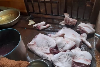 Thịt lợn tại cơ sở ông Vũ để trên nền xi-măng dơ bẩn.