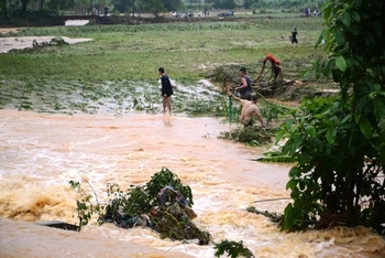 Mưa lớn làm sạt lở đất và ngập úng, gây thiệt hại nhà ở và hoa màu của người dân huyện Bát Xát (Lào Cai)
