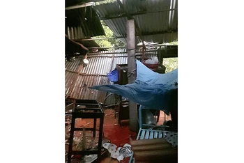 Chỉ trong tháng 9, lốc xoáy đã gây sập và tốc máy 133 căn nhà của người dân ở huyện Long Hồ (tỉnh Vĩnh Long). 