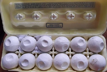 Một tá trứng rùa “mồi” được đựng trong một carton. Nó được các “thương nhân” thu nhặt từ bãi biển cùng những quả trứng thật và sau đó có thể được theo dõi để xác định nơi đến cuối cùng của những quả trứng.