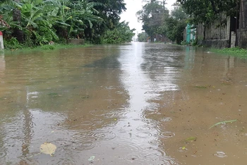 Tuyến đường từ Quốc lộ 1 đi xã Bình Chương, huyện Bình Sơn (Quảng Ngãi) bị nước lũ chia cắt.