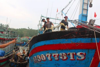 Ngư dân Quỳnh Lưu thả neo chằng chống tàu thuyền, thu gom lưới cụ, bảo đảm an toàn trước khi bão vào.