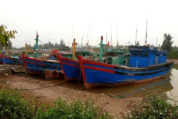 Tàu thuyền vào nơi tránh, trú bão an toàn ven biển huyện Hải Hậu (Nam Định).