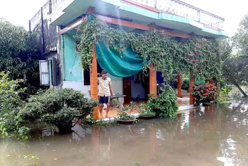 Nước ngập lênh láng trên địa bàn xã Khánh Hải (huyện Trần Văn Thời, Cà Mau).