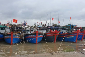 Tàu thuyền vào khu neo đậu an toàn ở Quỳnh Phương, thị xã Hoàng Mai.
