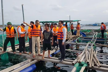 Ông Phạm Đại Dương, Bí thư Tỉnh ủy, Chủ tịch UBND tỉnh Phú Yên trực tiếp kiểm tra công tác phòng, chống bão lũ tại các khu vực xung yếu.