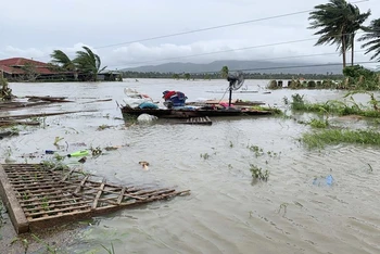Nhiều ngôi nhà tại thị trấn Pola trên đảo Mindoro chìm trong nước. (Ảnh: AP)