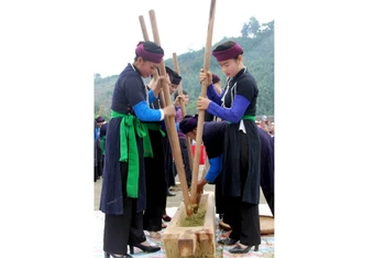 Lễ giã cốm làm cơm mới của người Tày khao huyện Văn Yên.
