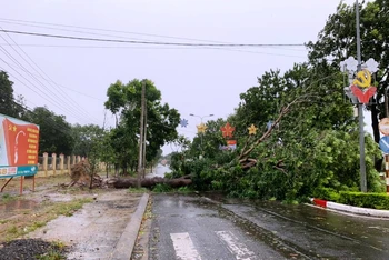 Cây xanh bật gốc đổ chắn ngang đường ở thị xã Ayun Pa.