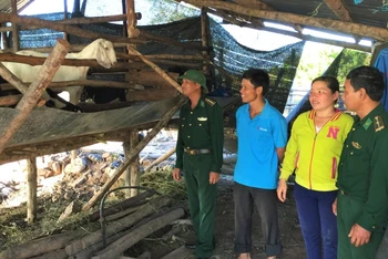Mô hình chăn nuôi dê do BĐBP tỉnh Đắk Lắk hỗ trợ các gia đình khó khăn, ở xã biên giới Ia Rvê, huyện Ea Súp.