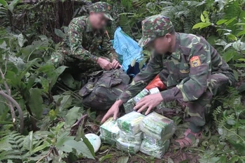 Số lượng ma túy khủng mà BĐBP Nghệ An bắt giữ.