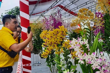 Đông đảo người dân địa phương và khách du lịch đến thưởng thức vẻ đẹp của những giò hoa từ khắp mọi miền Tổ quốc.   